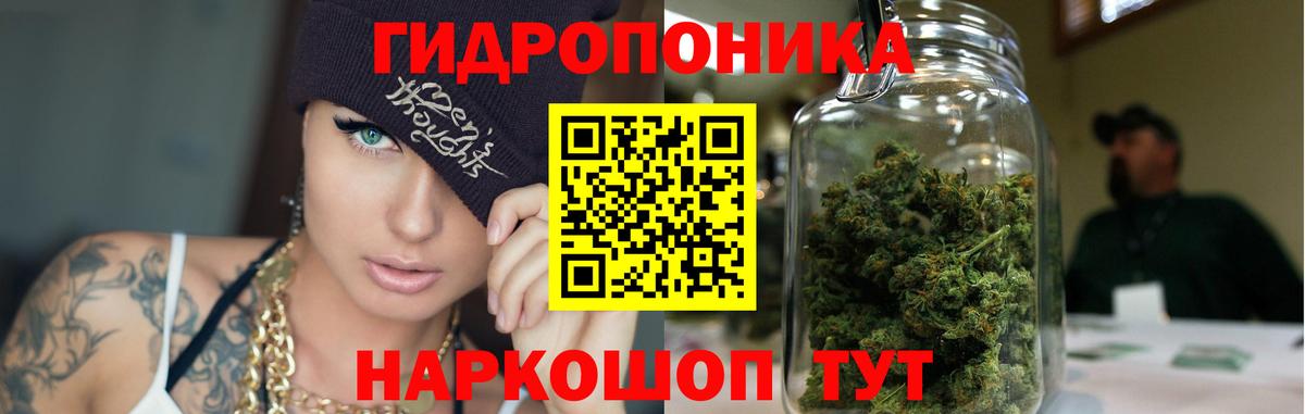 Шишки марихуана тримм  Вход с VPN  Горячий Ключ  Шишки марихуана ГИДРОПОН 